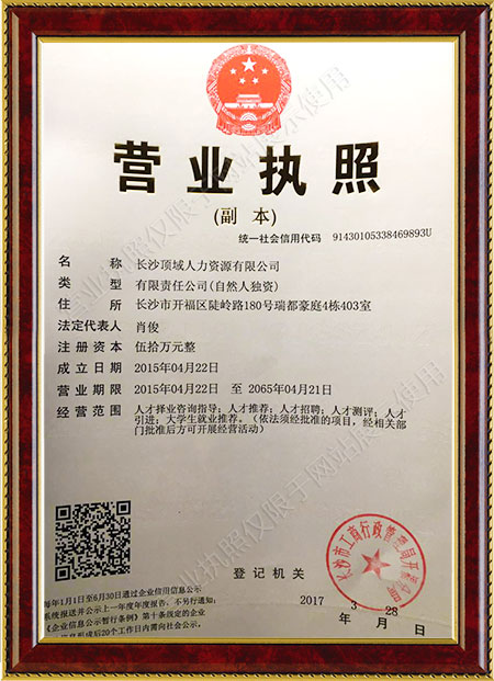 长沙顶域人力资源有限公司,长沙人力资源,顶域人力资源,顶域猎头,湖南猎头,长沙猎头